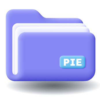 Libro de registro PIE